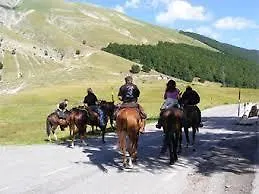 מלון דירות Rifugio Passo Godi 3*