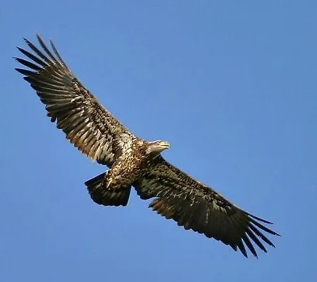 Апарт-отель Rifugio Passo Godi