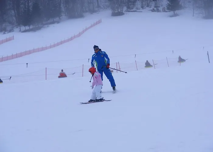 アパートホテル Rifugio Passo Godi 3*